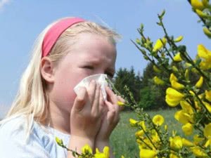Аллергия на пыльцу у ребенка: лечение, профилактика. Как распознать и что делать
