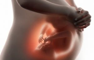 Имунная система и беременность