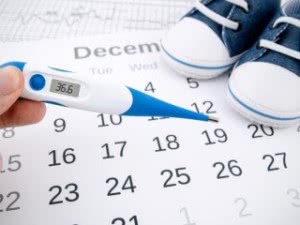 Календарь овуляции: рассчитать день зачатия