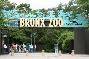 Лучшие зоопарки мира для детей