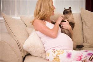 Токсоплазмоз во время беременности. Симптомы, лечение, диагностика и профилактика токсоплазмоза при беременности
