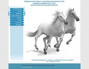 Предпросмотр для www.usounddvd40.ru — Медицинская ультразвуковая диагностика