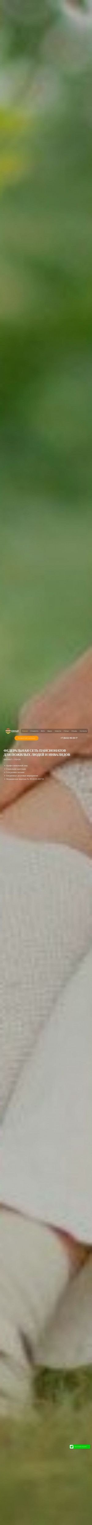 Предпросмотр для yuzhny-pansionat.ru — Пансионат для пожилых людей и инвалидов Южный