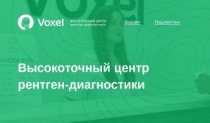 Предпросмотр для voxelpro.ru — Voxel