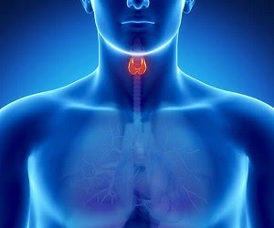 13 распространенных симптомов проблем со щитовидкой