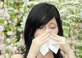 Аллергия — болезнь века. Причины возникновения аллергии. Лечение аллергии