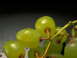 Экстракт виноградных косточек снижает риск развития рака предстательной железы вдвое
