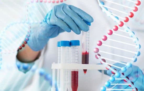 Генетическое тестирование: как простые анализы могут навсегда изменить жизнь человека