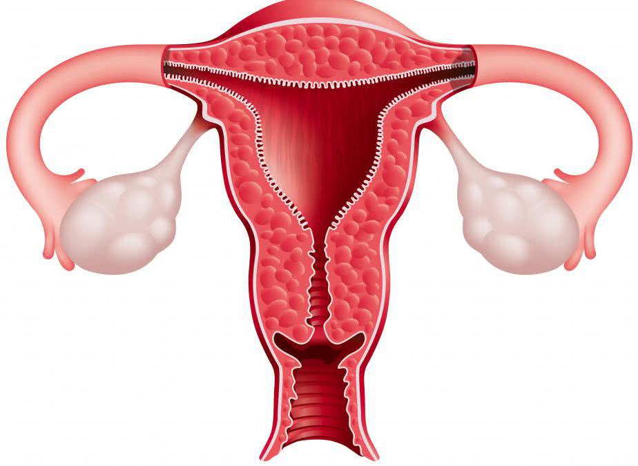 Гормональная контрацепция: какие нужны анализы