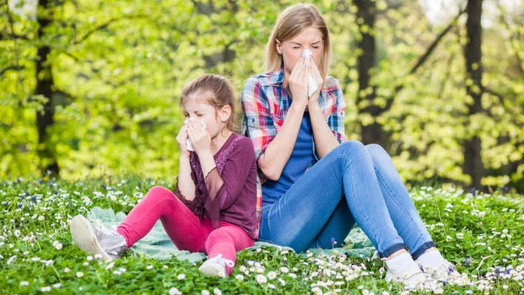 Как дать отпор несносной аллергии?