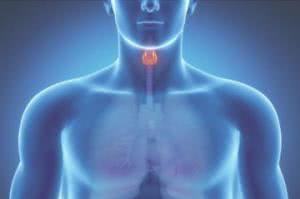 Как на нас влияют нарушения работы щитовидной железы