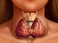 Как уберечься от заболеваний щитовидной железы