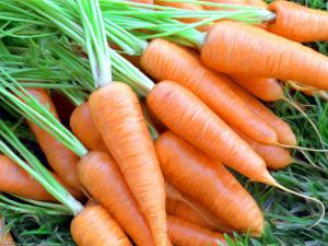Предупредить рак груди помогут… морковь и картофель