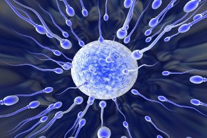 Ученые будут разрабатывать новый метод негормональной контрацепции