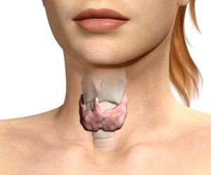 Заболевания щитовидной железы — когда начинать беспокоиться?