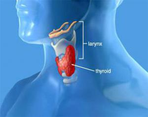 Заболевания щитовидной железы могут стать причиной психиатрических проблем