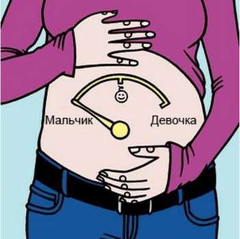 На картинке беременная со стрелкой на животе между мальчиком и девочкой